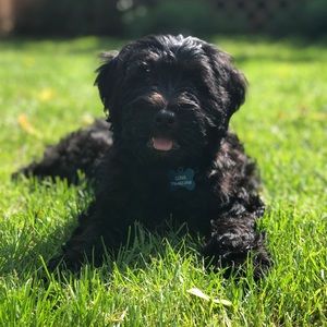 Meet your Posher, Katie
